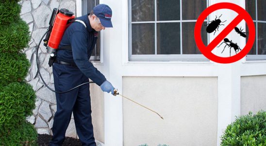 Divriği Kemirgen İlaçlama böcek ilaçlama ve haşere kontrolü — ilaclama-tr.com
